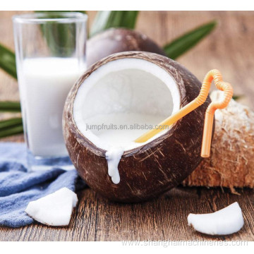 new coconut juice coconut water processing machines